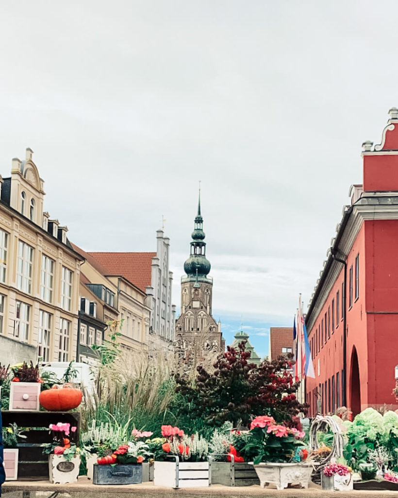 Blick vom Erntedankmarkt auf den Greifswalder Dom