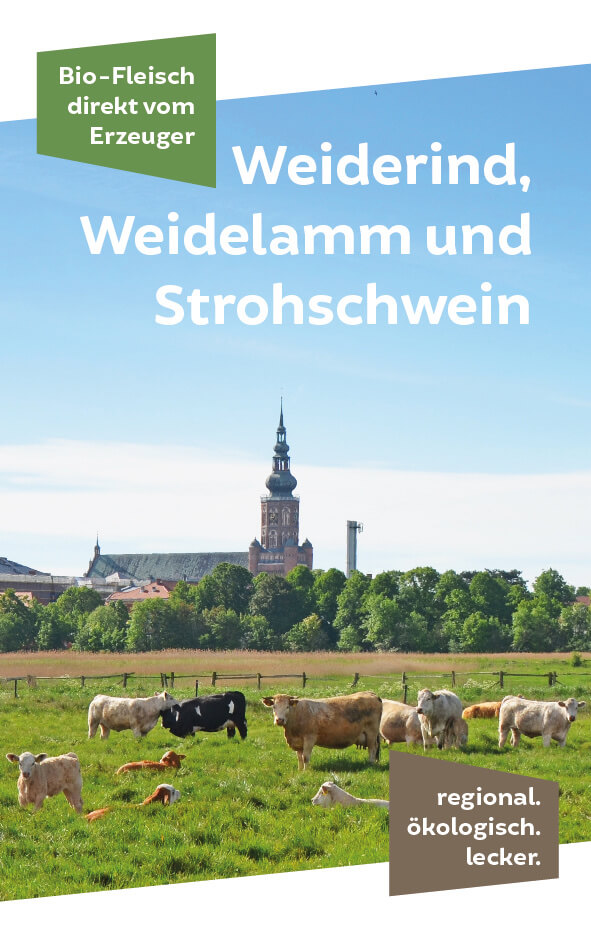 Flyer vom Landwirtschaftsbetrieb Wolfgramm über die ökologische Erzeugung ihres Bio-Fleisches vom Weiderind, Weidelamm und Strohschwein.