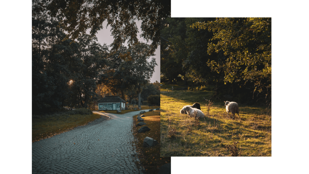 Wanderung auf Hiddensee im Herbst, Abendstimmung in Kloster