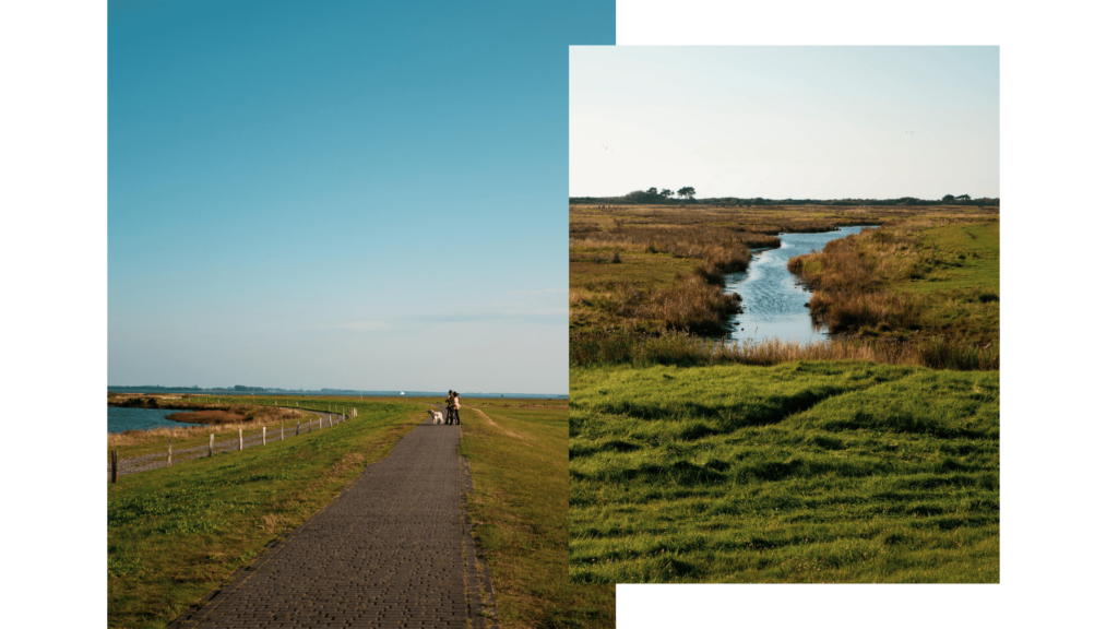 Wanderung auf Hiddensee im Herbst über die Salzwiesen