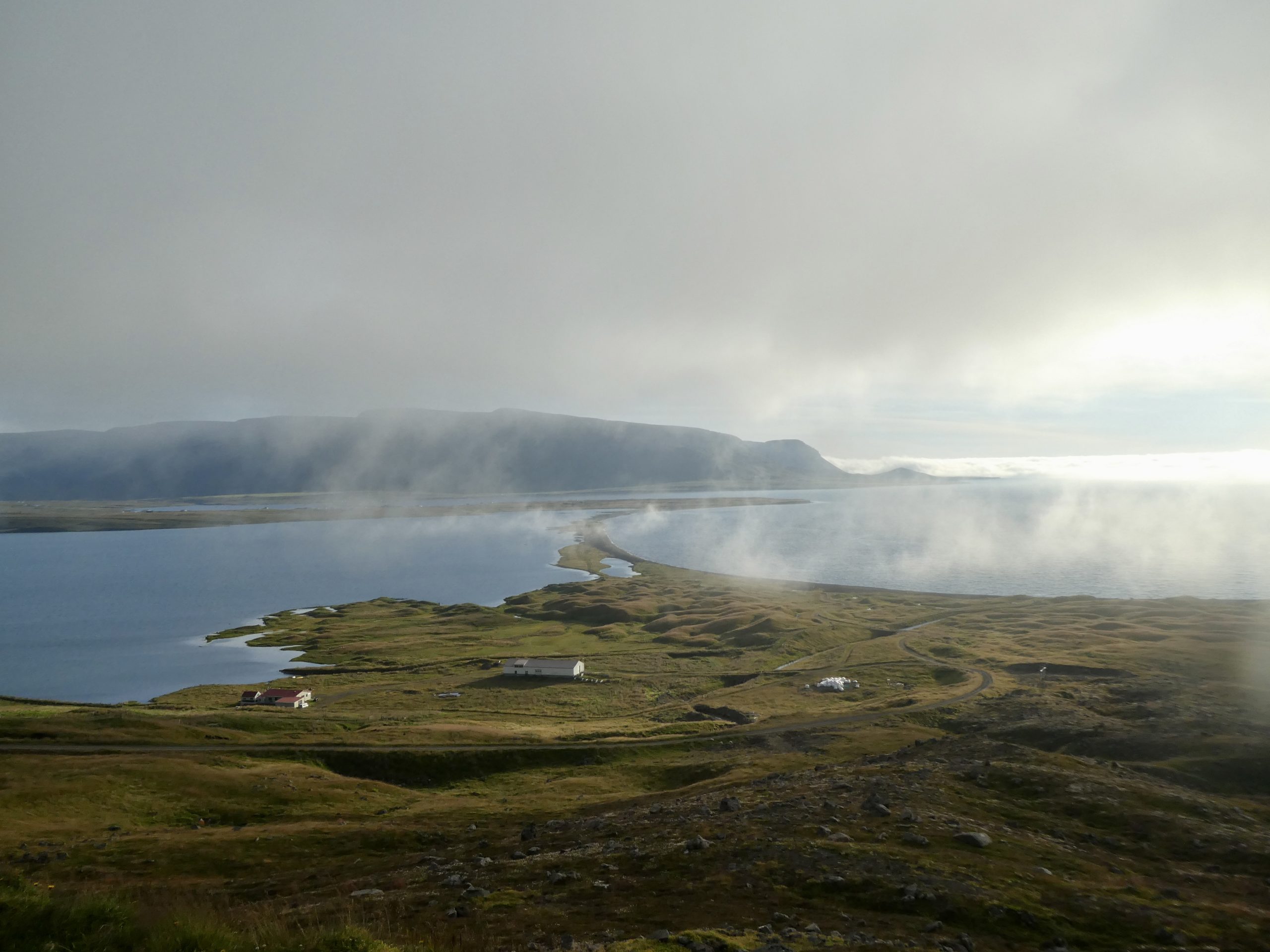 Island_Ringstraße Natur_1