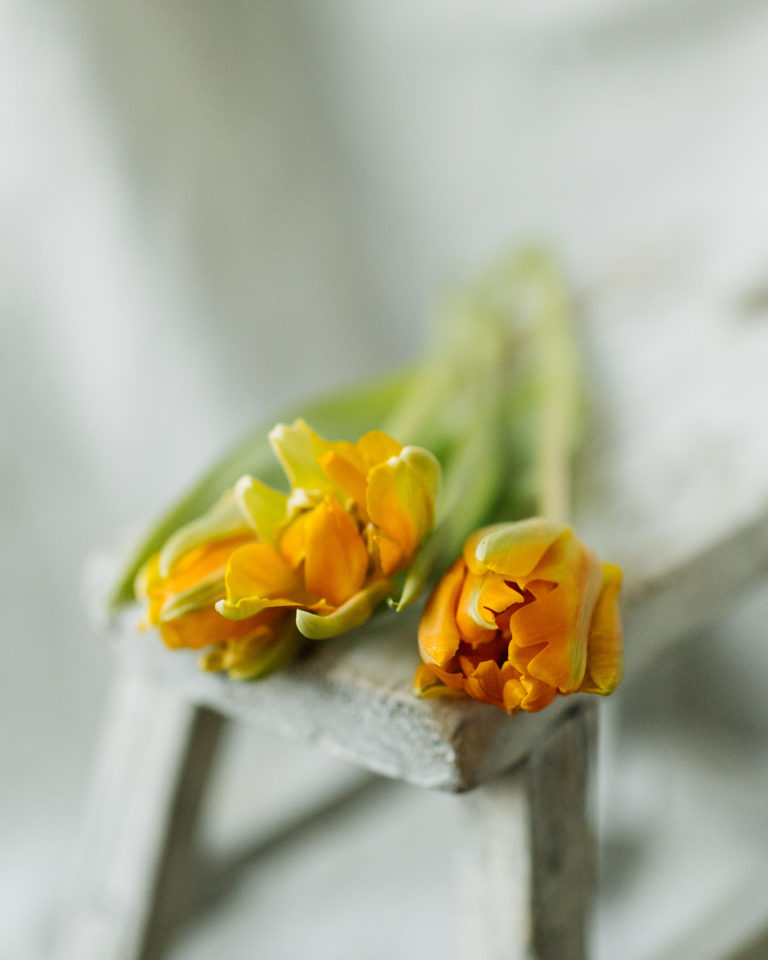 Orange-Tulpen-Osterdeko