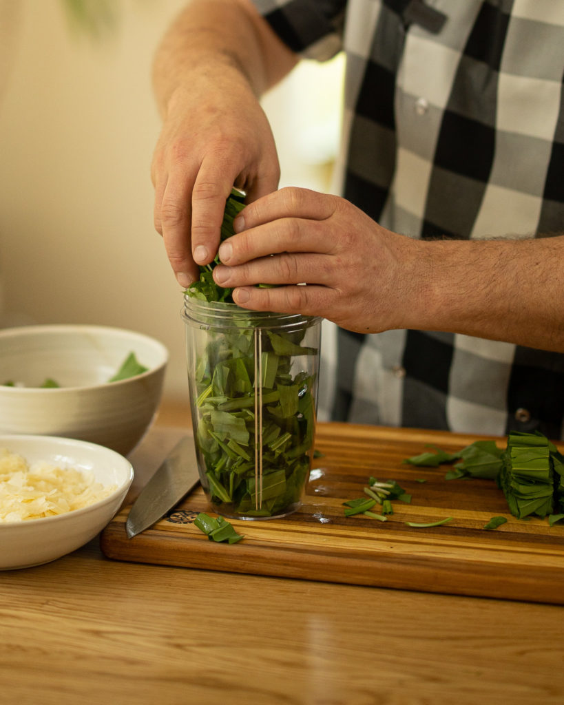 Bärlauch PEsto Zerkleinerer