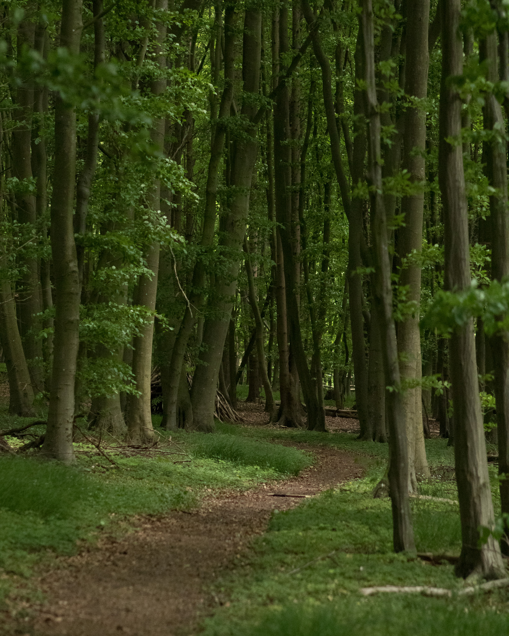 Goor Wanderung Ruegen