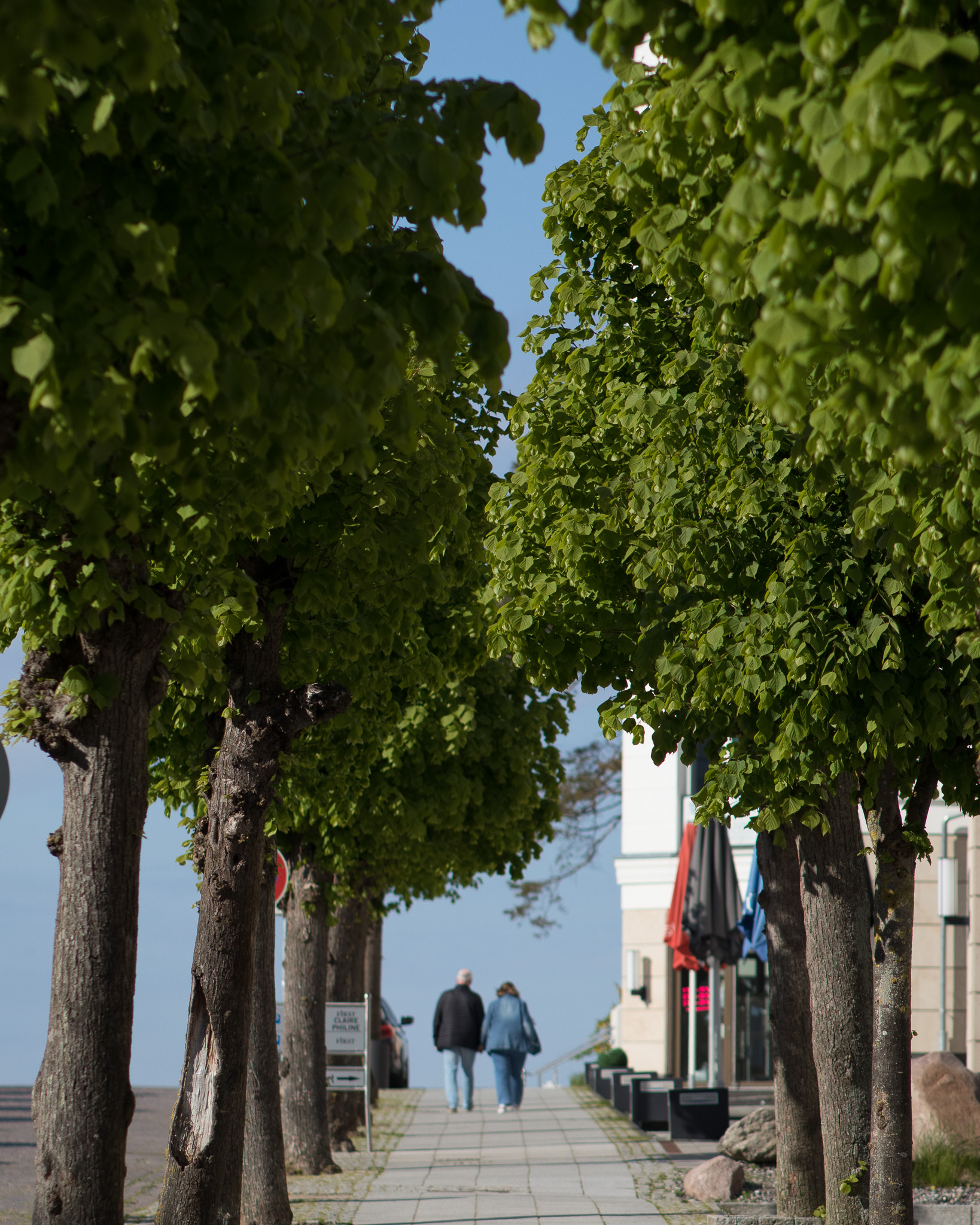 Sellin Allee zum Strand