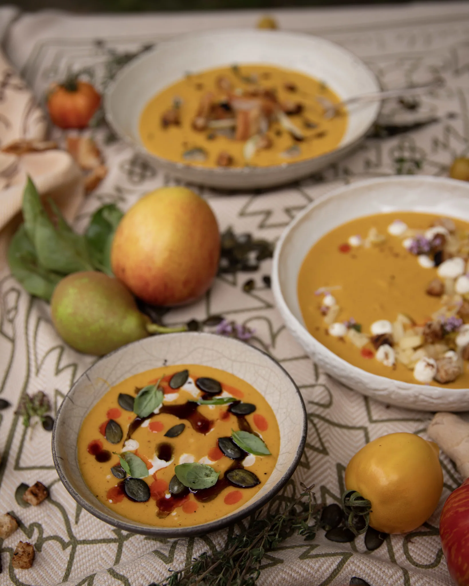 Vegane Kürbissuppe Rezept Titelbild mit drei Toppings