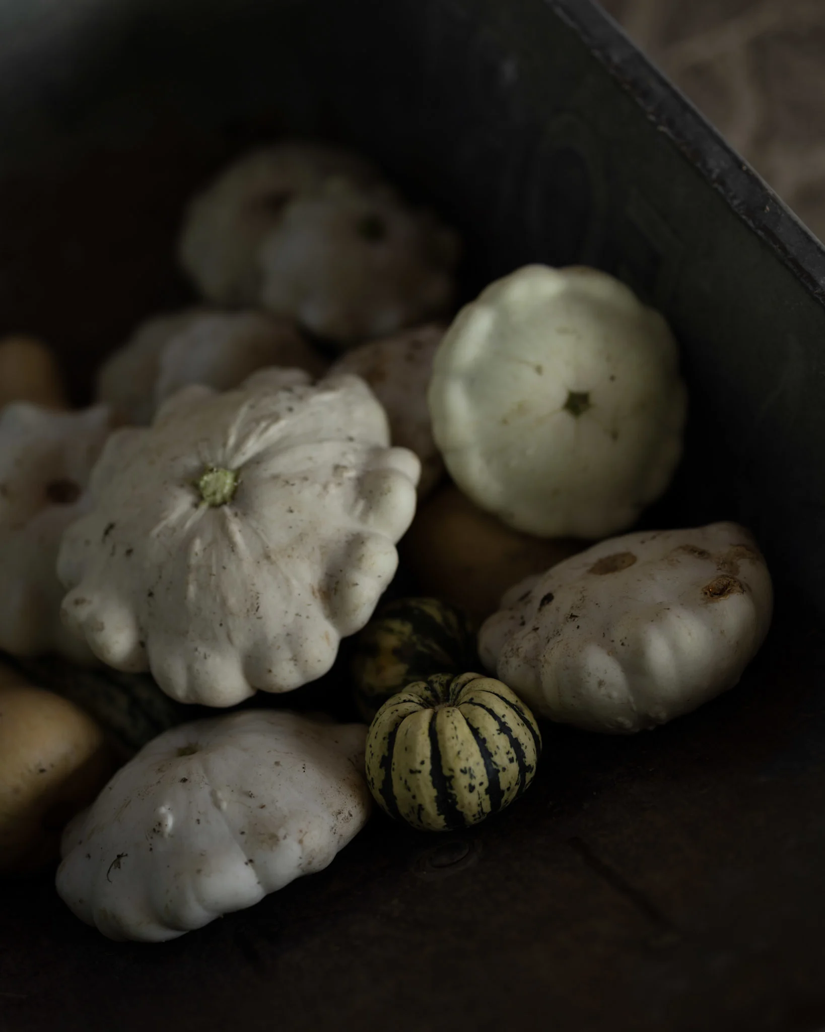 weiße Kürbisse in Kransdorf Moodbild für die vegane Kürbissuppe