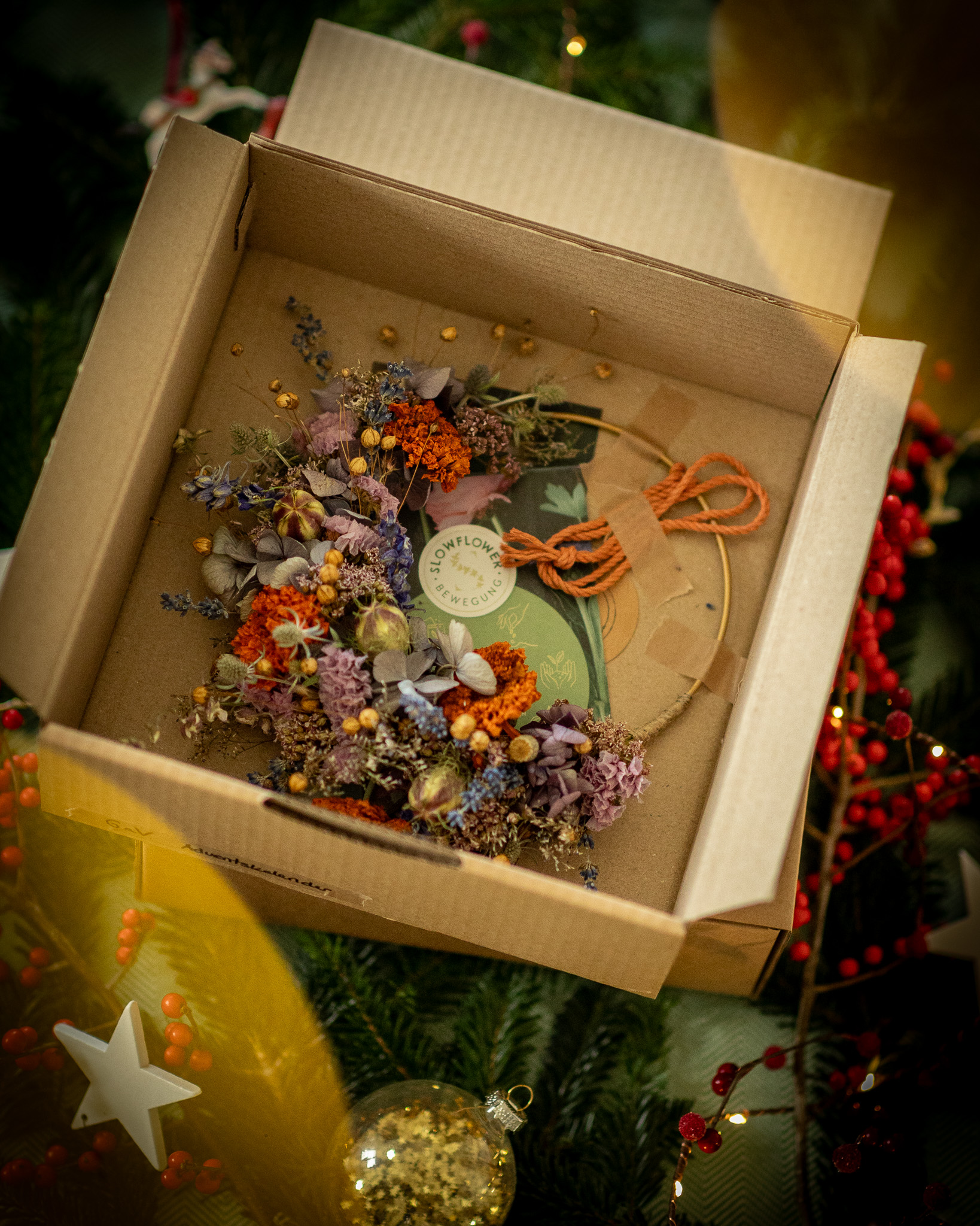 Online Adevtnskalender Vorpommern Tuer 1 - Flowerloop orange Wilde Flora