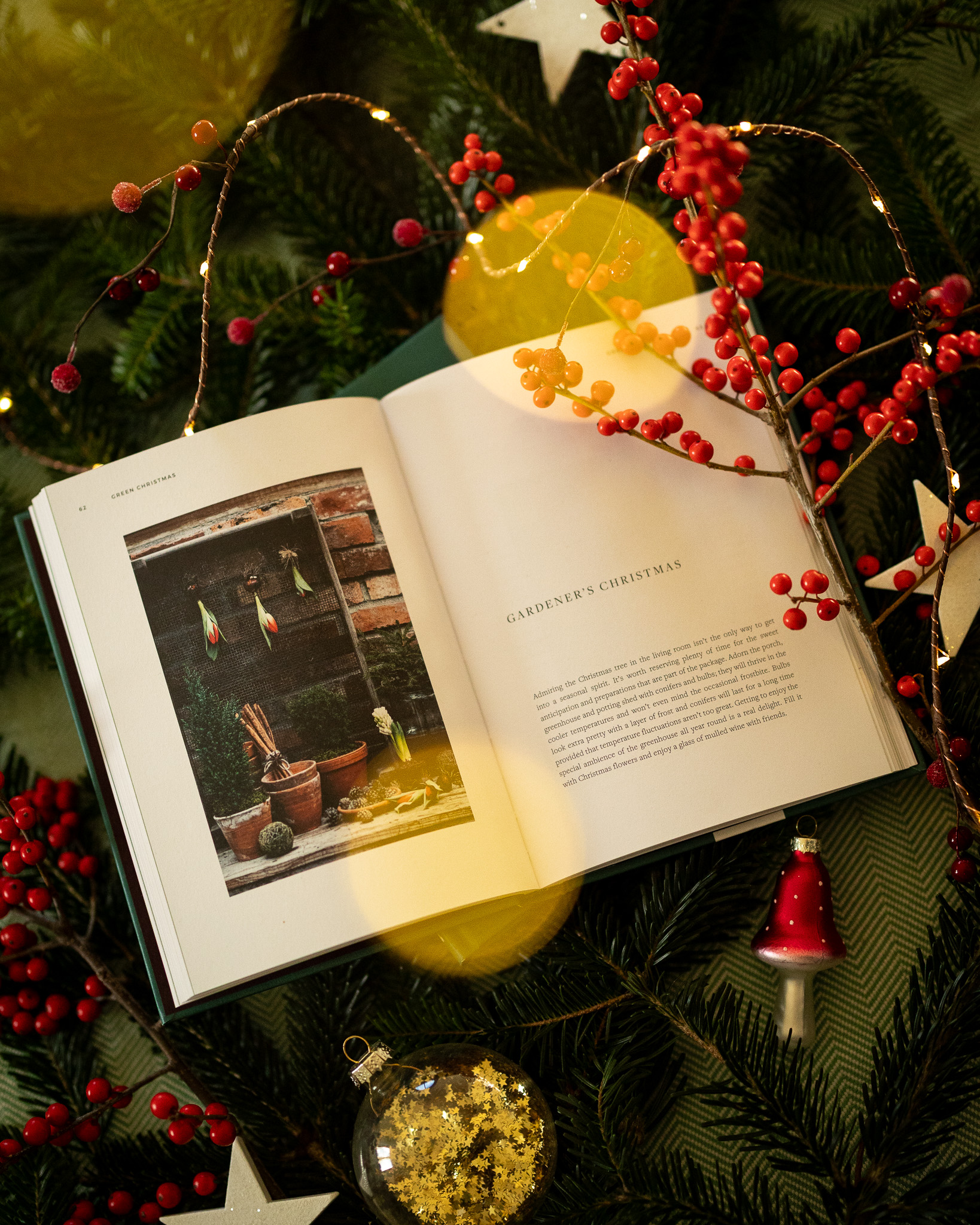 Online Adventskalender Vorpommern Tuer 1 - Buch Green Christmas