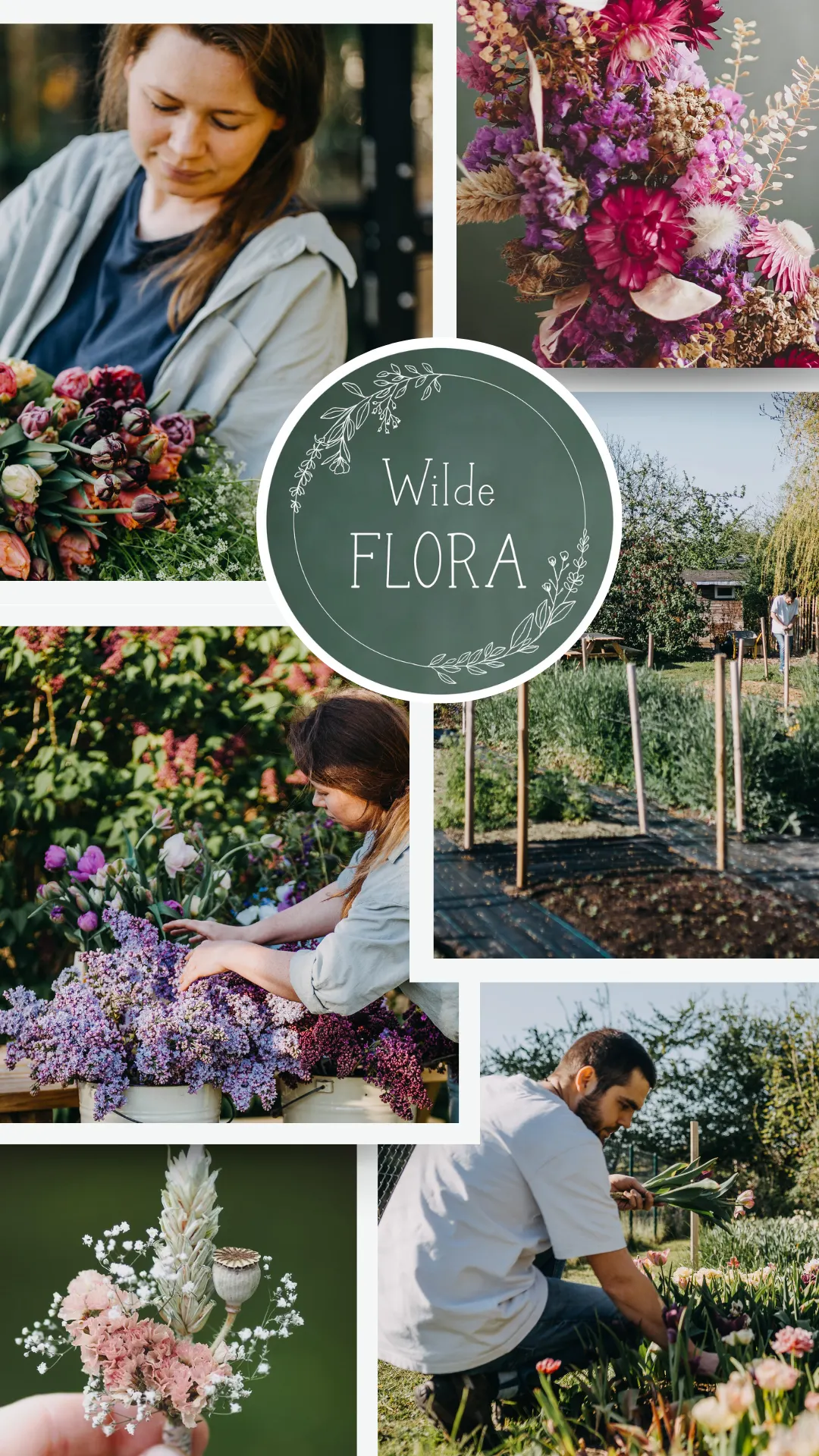 Online-Adventskalender Türchen 1 Wilde Flora + Dekorationsbuch