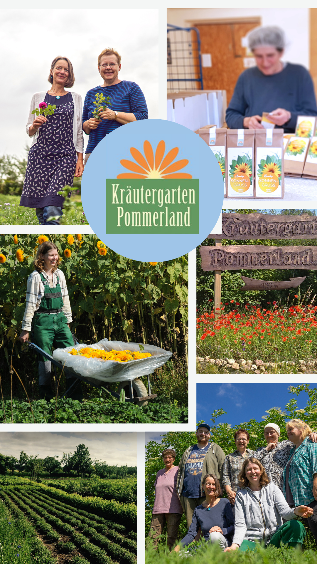 Türchen 11 Collage Kräutergarten Pommernland