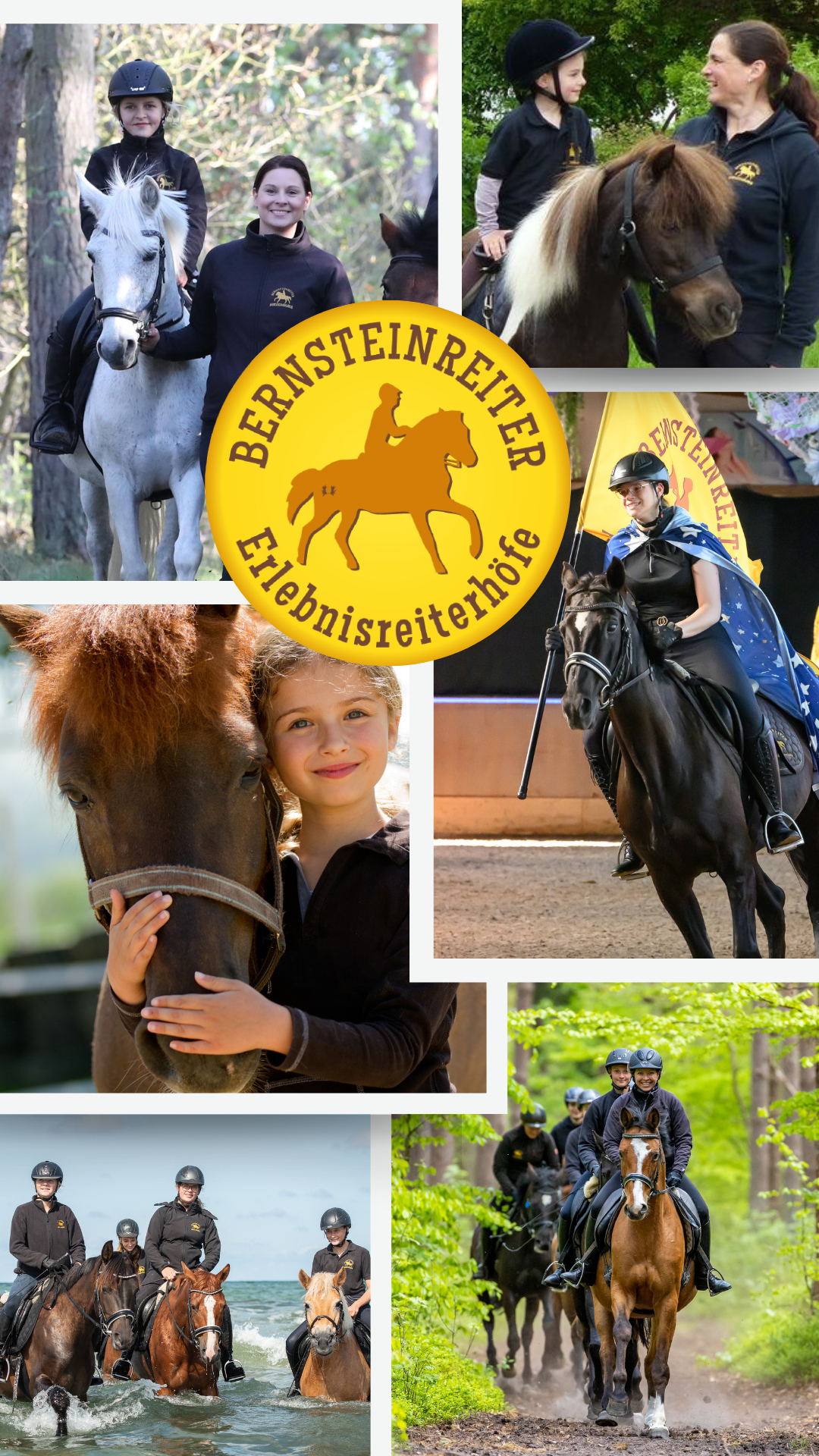 Bernsteinreiter collage