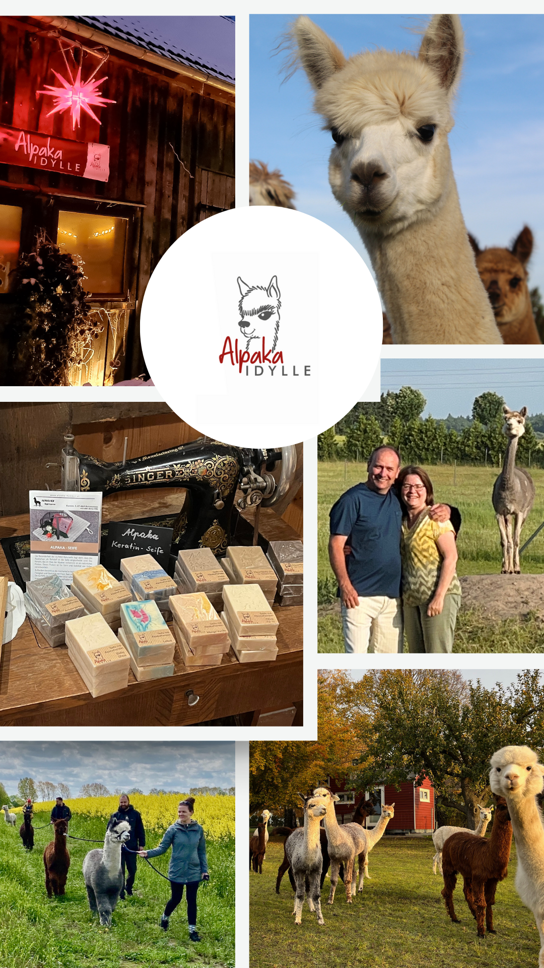 Türchen 13 Alpaka Idylle Collage
