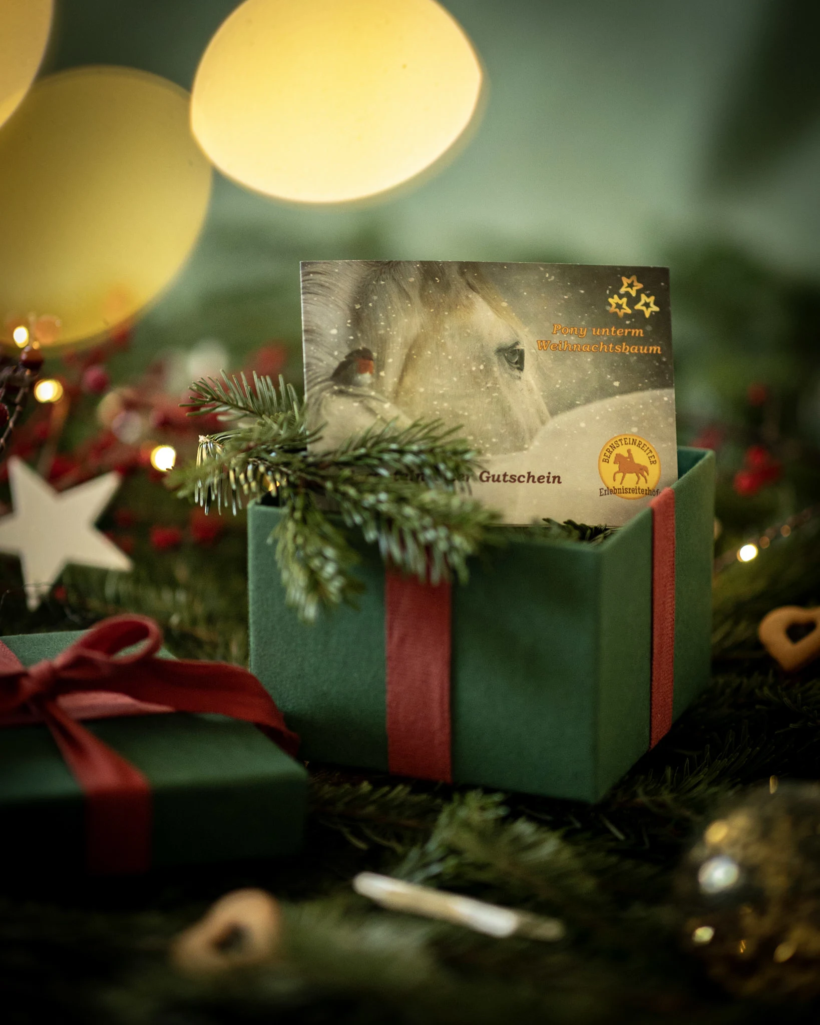 Bernsteinreiter Gutschein Tuerchen 9 online adventskalender