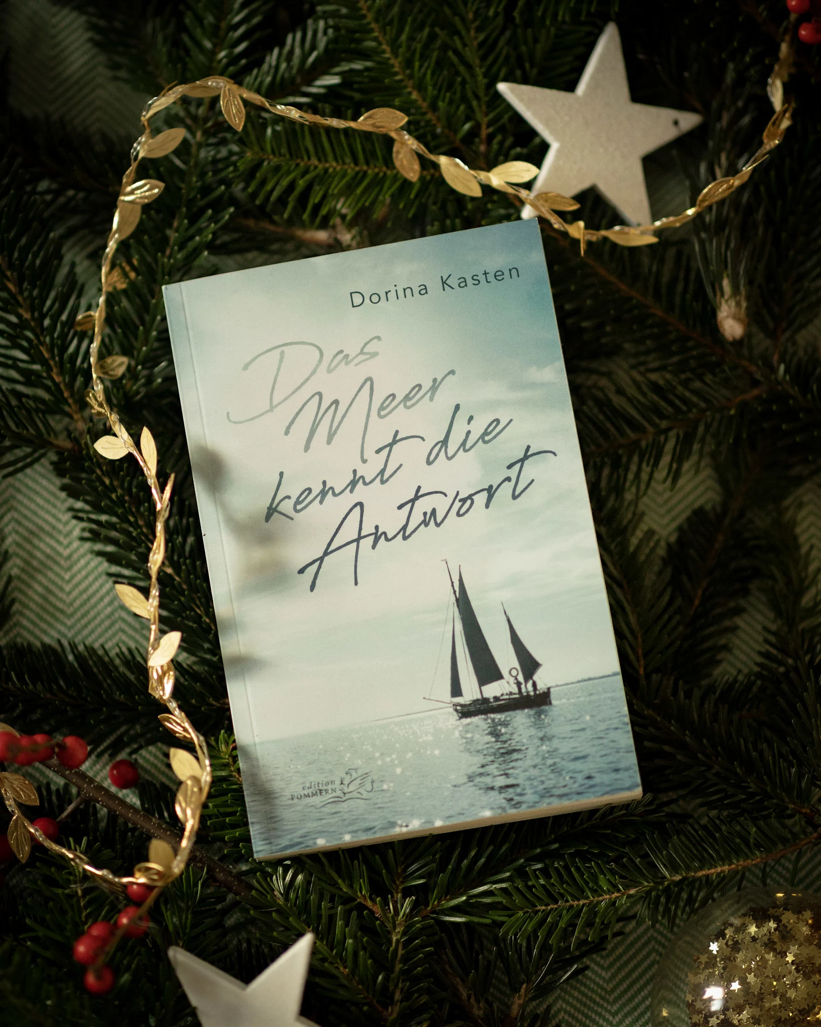 Dorina Kasten Buch Tuerchen 5 Edition pommern