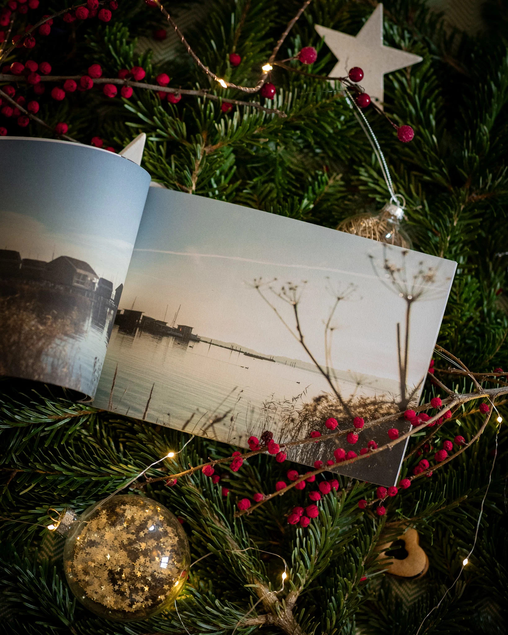 Tuerchen 24 detailbild im Jaich