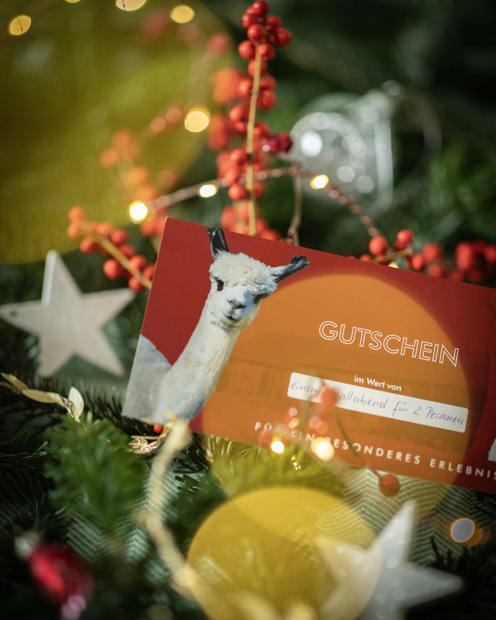 alpaka idylle Gutschein