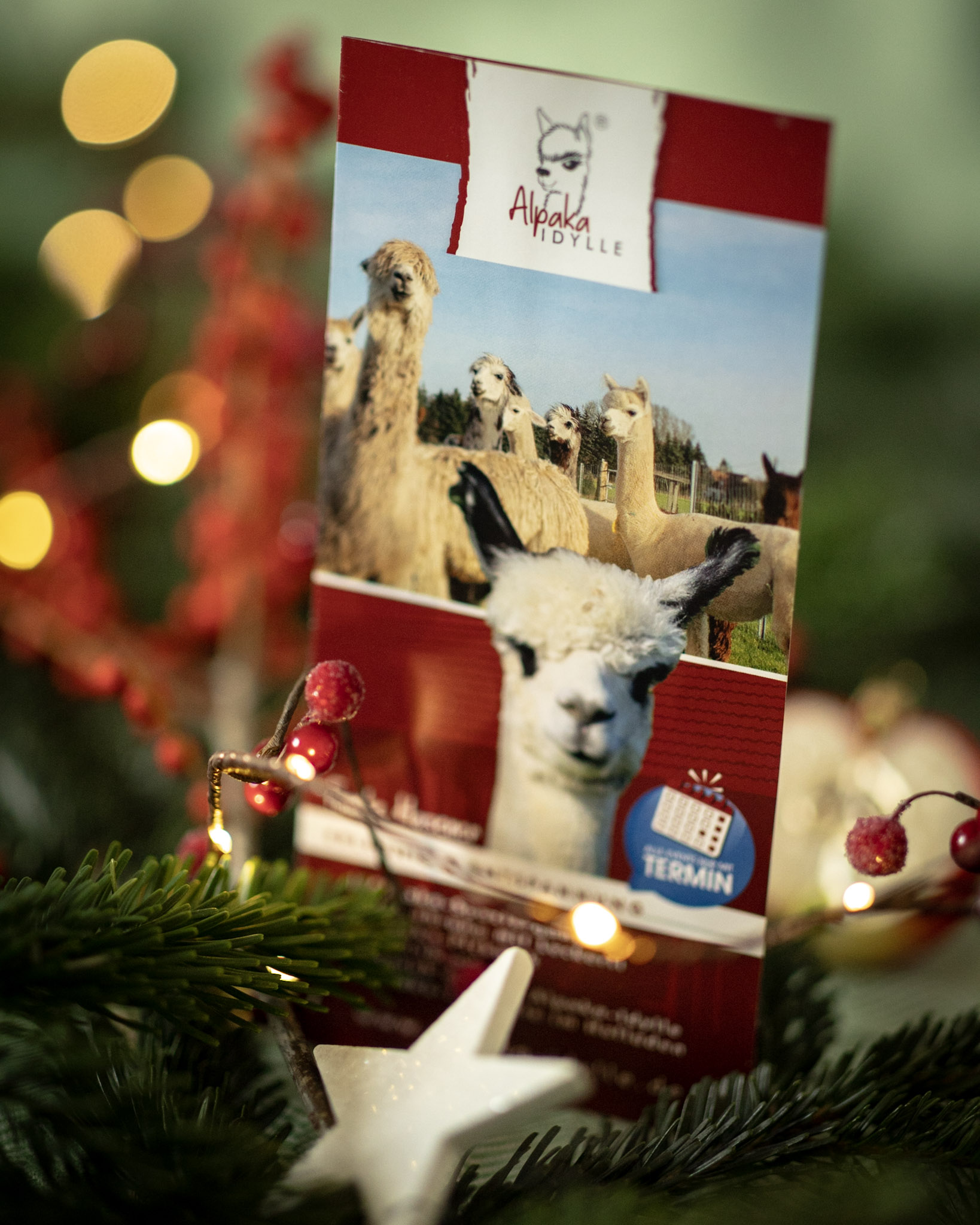 tuerchen 13 alpaka idylle flyer