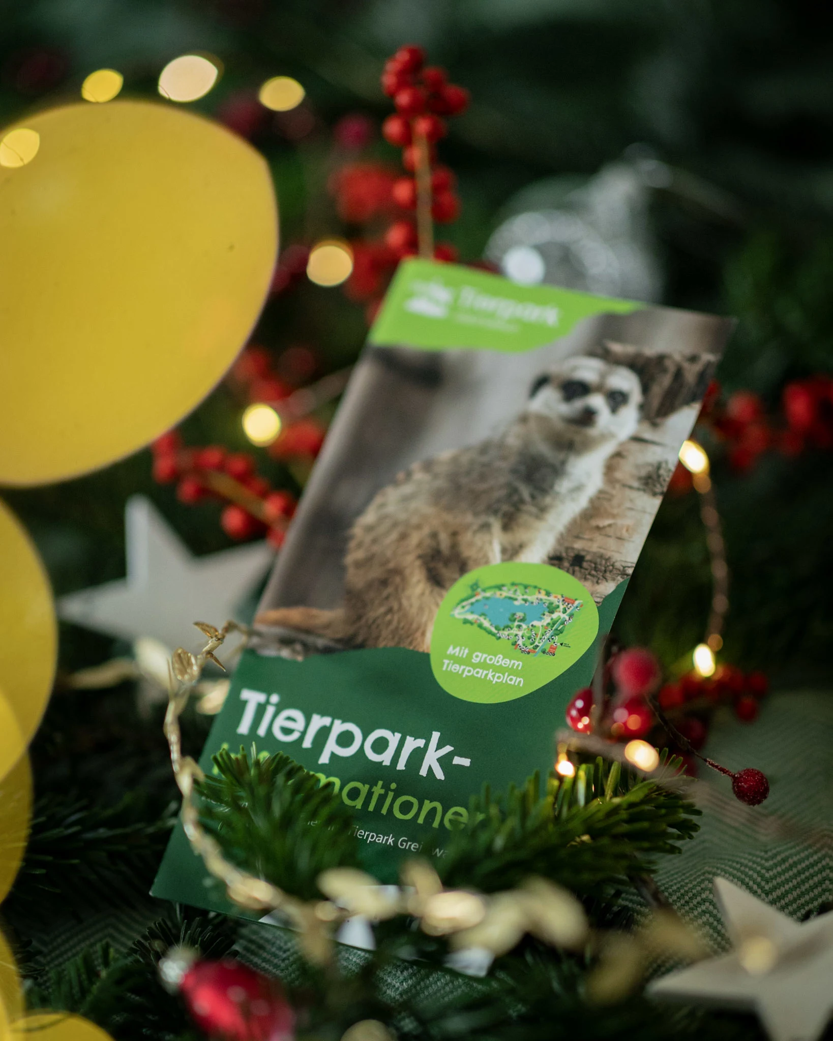 tierpark flyer