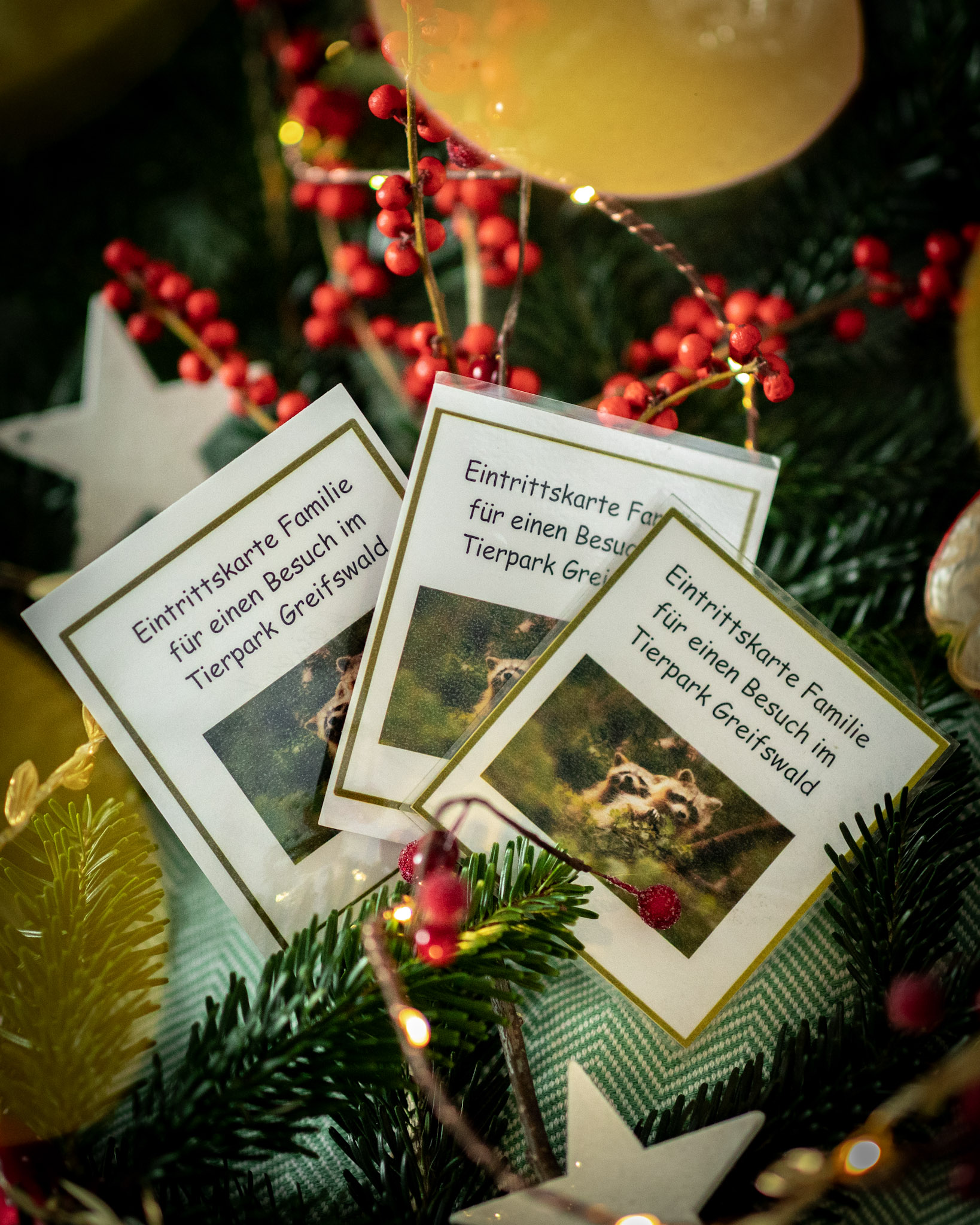 tuerchen 18 gewinn tierpark greifswald