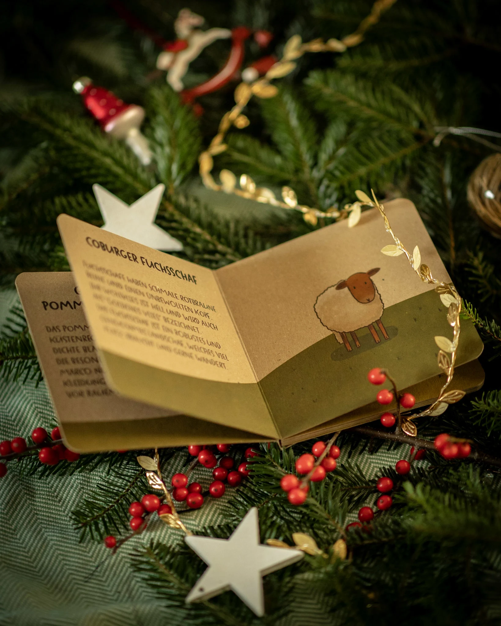 tuerchen 4 online adventskalender nordwolle schafbuch