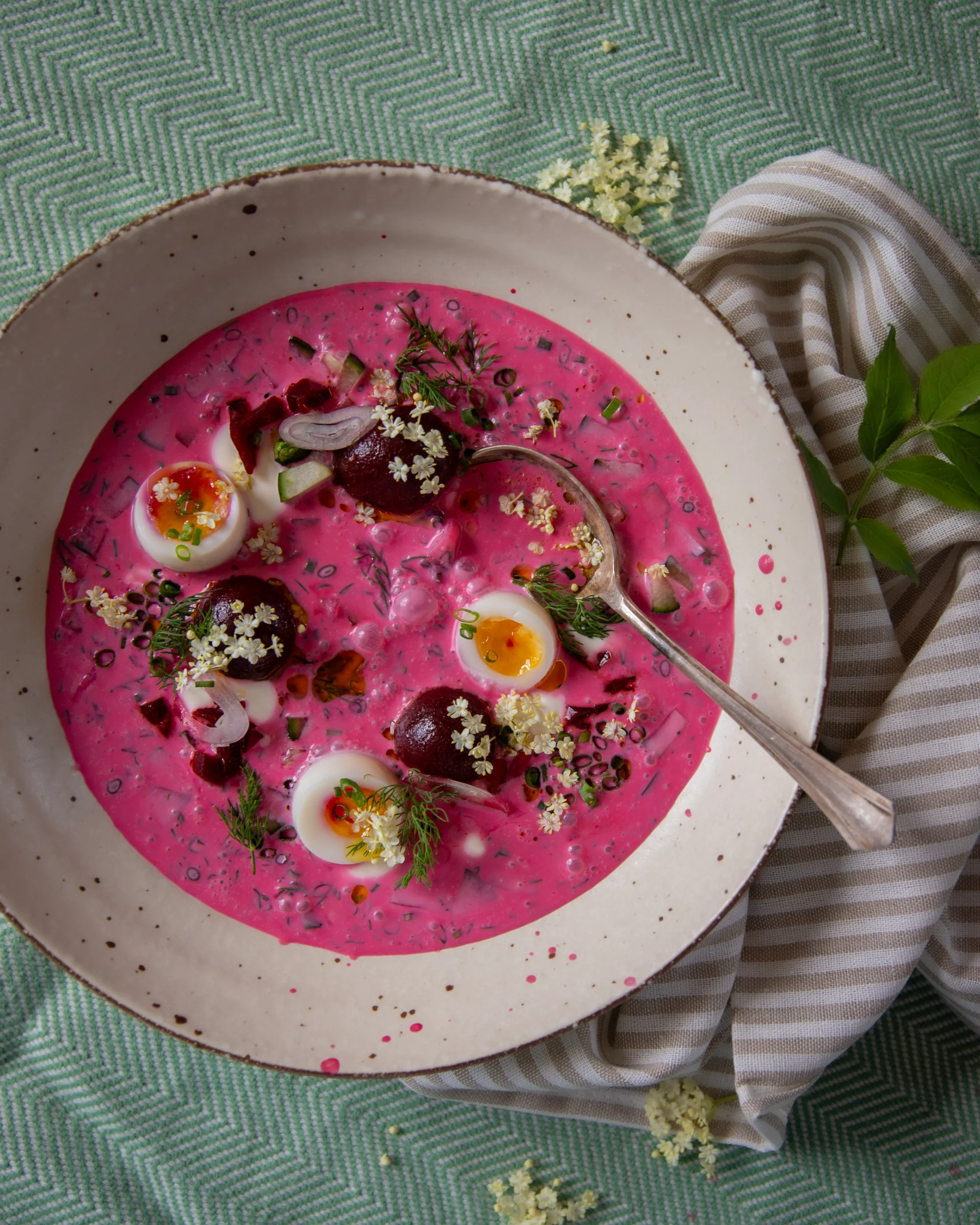 Angerichtete kalte rote bete Suppe dekoriert mit Wachteleiern, Dill und Hollunderblüten