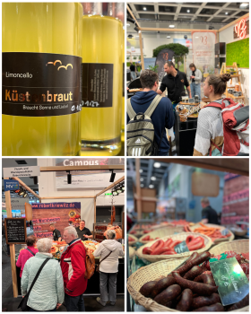 Büttners & Fleischerei Kriewitz