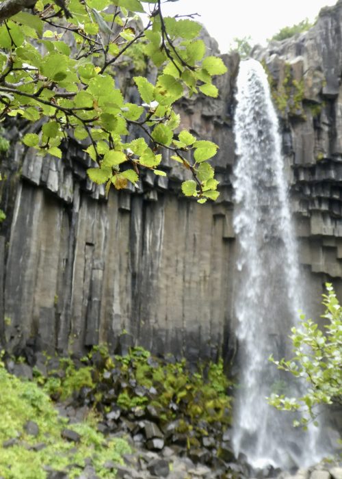 Svartifoss