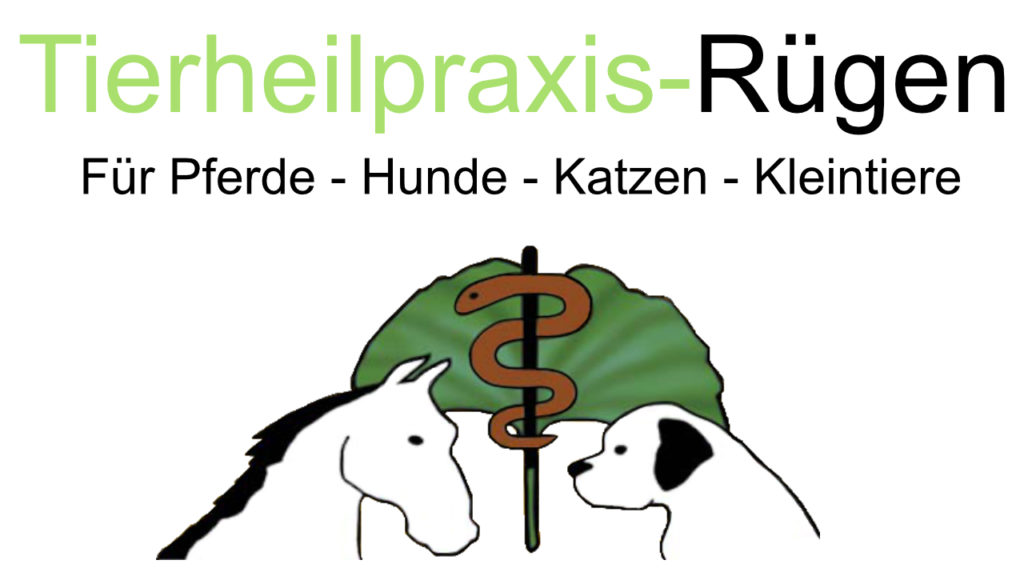 Tierheilpraxis und Wellness - Höchstadt